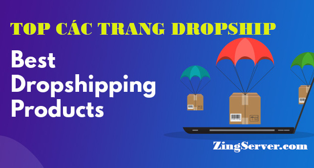 TOP các trang làm Dropshipping