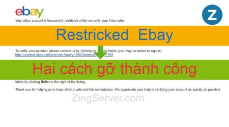Chia sẻ hai cách gỡ restricked Ebay thành công