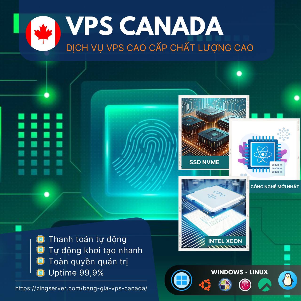 VPS Canada tại ZingServer